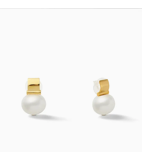 Gift Canino earrings Medium post