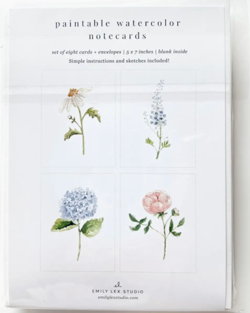 Gift Paintable watercolor notecards