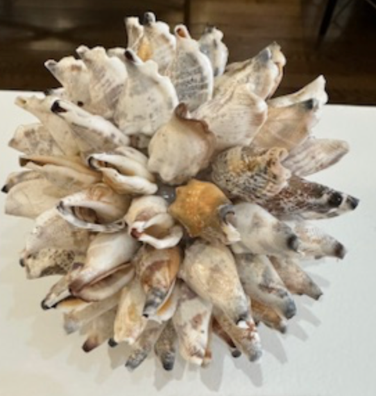 Accessory Shell ball 5"