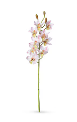 Floral orchid stems