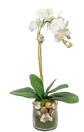 Orchid in glass with crystal