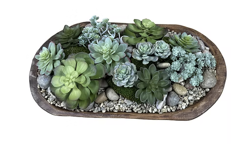 Succulents in dough bowl