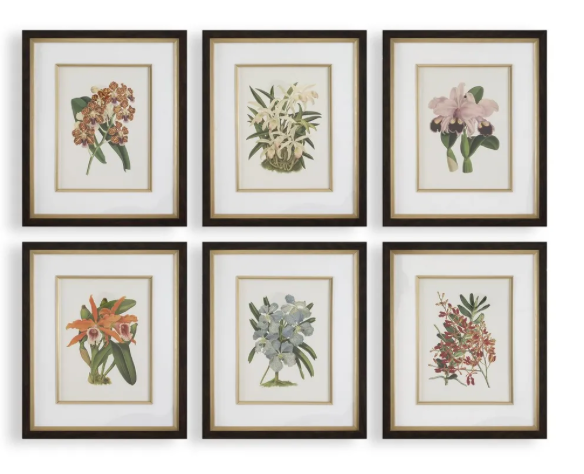 Artwork orchid prints