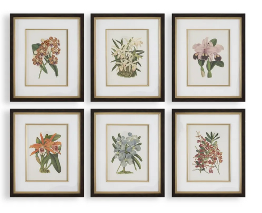 Artwork orchid prints
