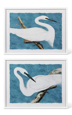Swan artwork