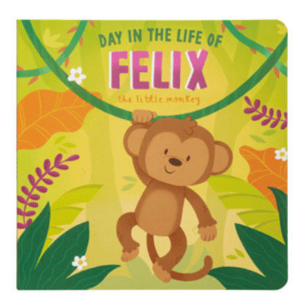 Monkey book with stuffy
