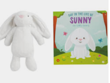 Bunny book with plush
