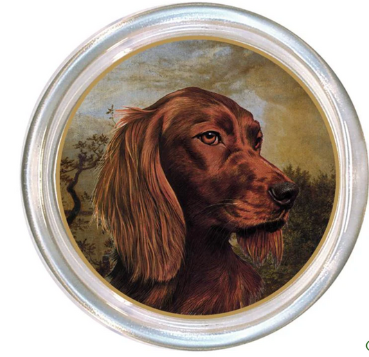 Irish Setter Dog - Coaster
