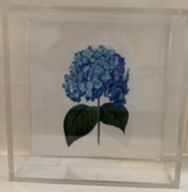 Lucite tray Hydrangea 6x6