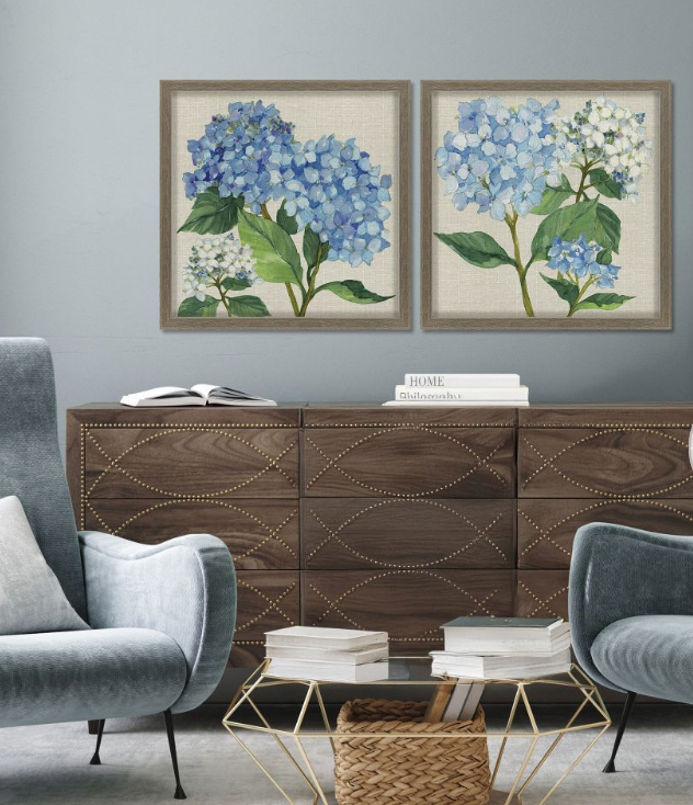 Hydrangea Study