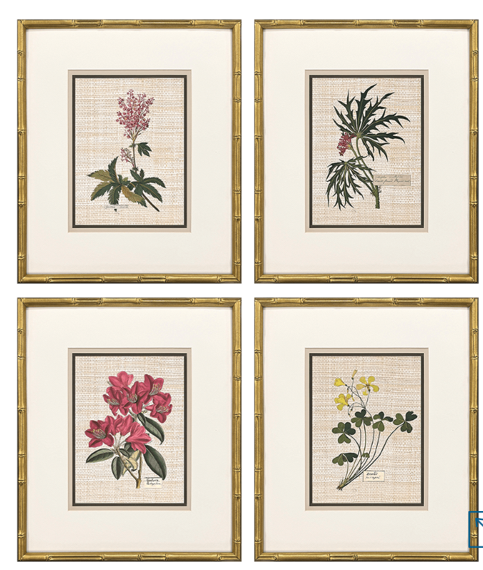 Antique Botanica