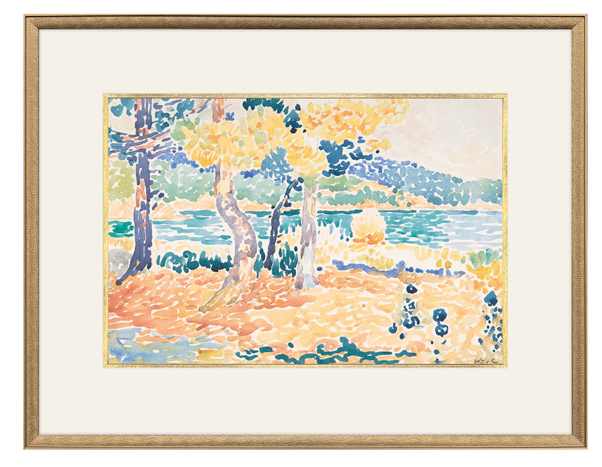 Early Pines on Coastline Artwork
