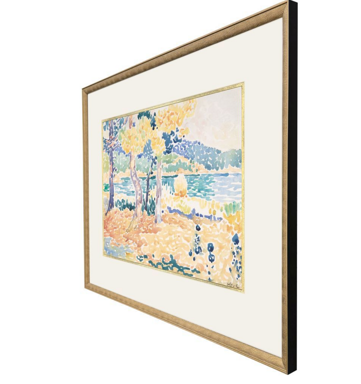Early Pines on Coastline Artwork