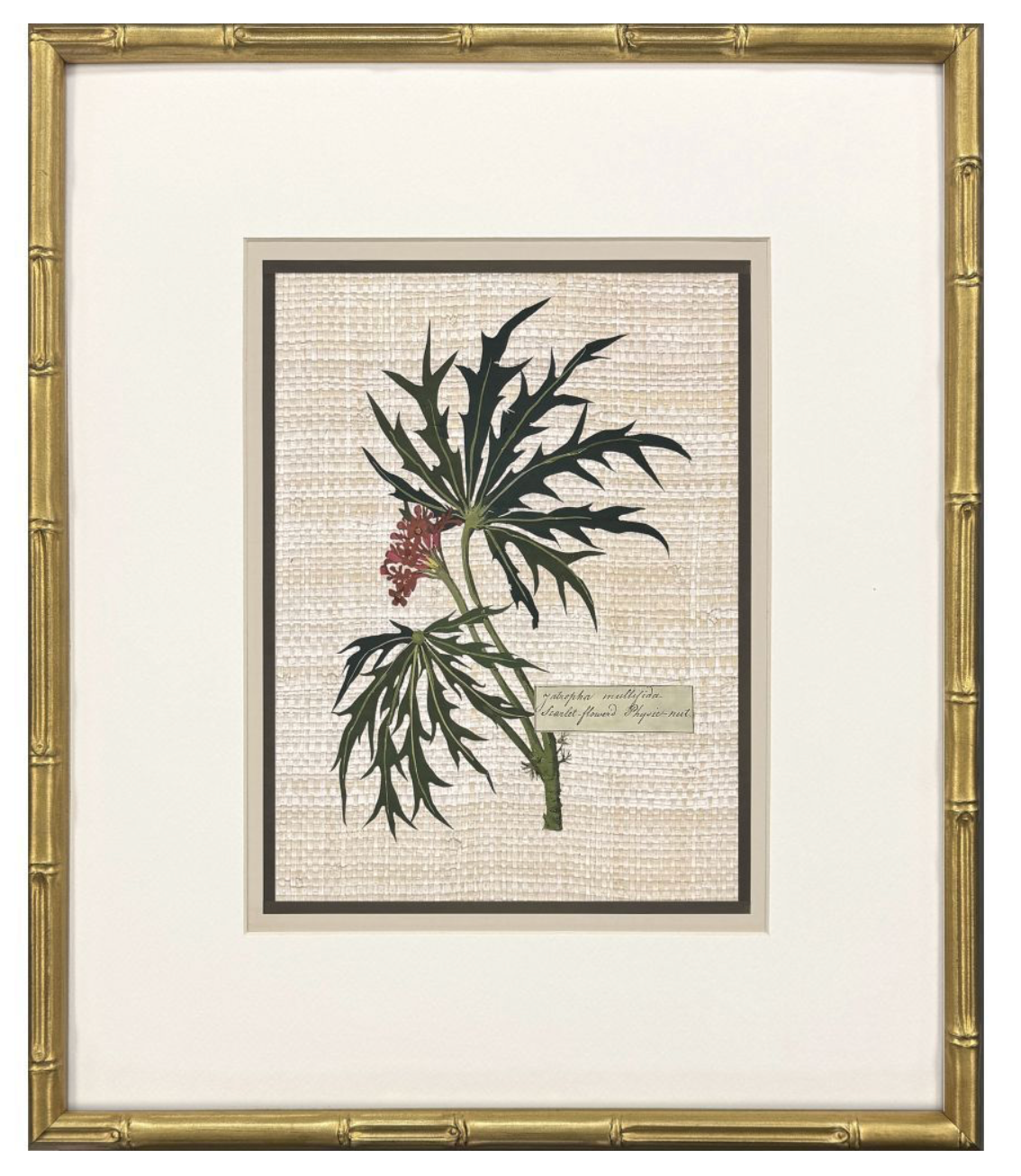 Antique Botanica